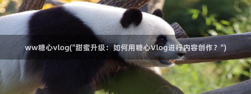 糖心 网站：ww糖心vlog(\