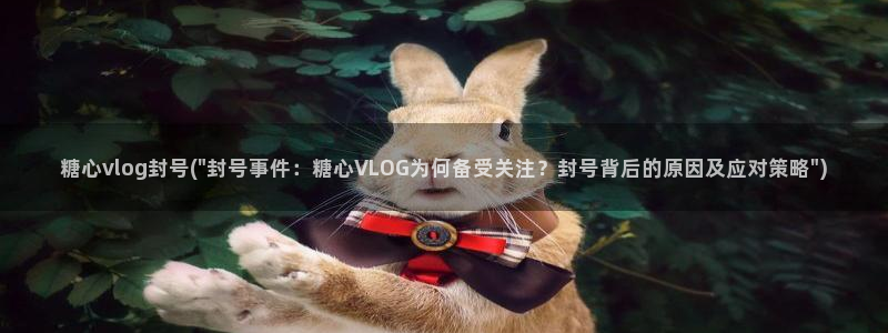 糖心volog：糖心vlog封号(\