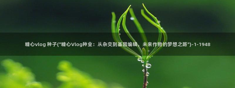 糖心vlgo官网人口