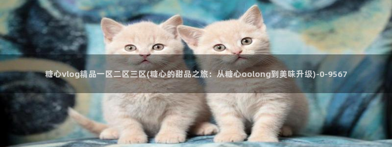 糖心vlog高清无码：糖心vlog精品一区二区三区(糖心