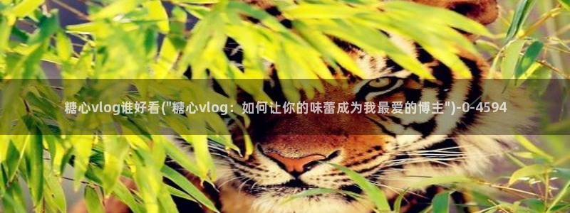 柚子猫糖心vlog胡桃：糖心vlog谁好看(\