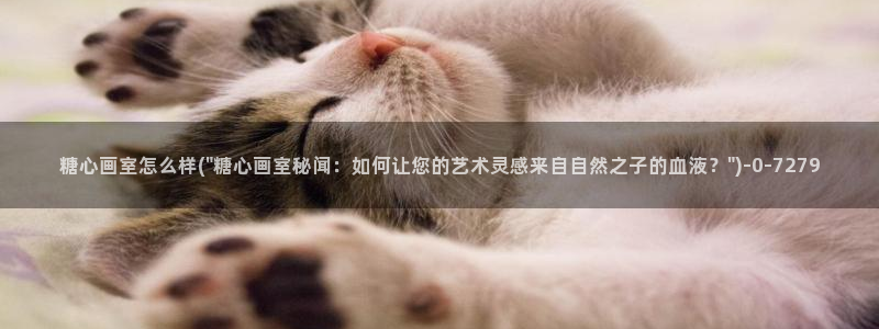 糖心vlog up主：糖心画室怎么样(\