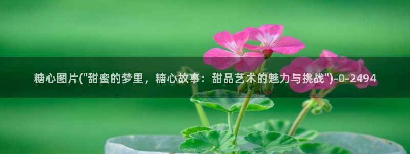糖心vlog是：糖心图片(\