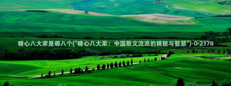 糖心vlog 破解版：糖心八大家是哪八个(\