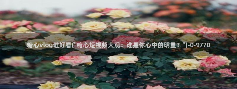 糖心少女vlog孤独的生日：糖心vlog谁好看(\